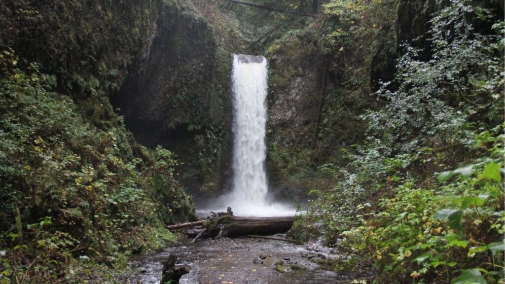 A hiker was found dead at Wiesendanger Falls off Larch Mountain Trail near Multnomah Falls in the Columbia River Gorge. (USA Today Network via Reuters)