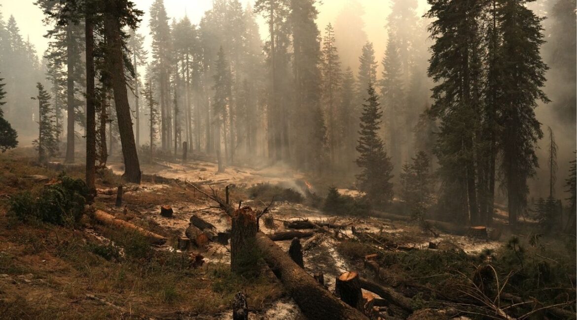 Fire crews held the 57,004-acre Garnet Fire at 15% containment overnight in the Sierra National Forest, as authorities issued evacuation orders for multiple zones while cooler, more humid weather aided mop-up efforts and spot fire suppression. (U.S. Forest Service)