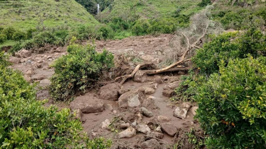 An area is damaged following a landslide that destroyed the Tersin village, in the Marra Mountains area of Sudan September 1, 2025. Sudan Liberation Movement/Army/Handout via REUTERS