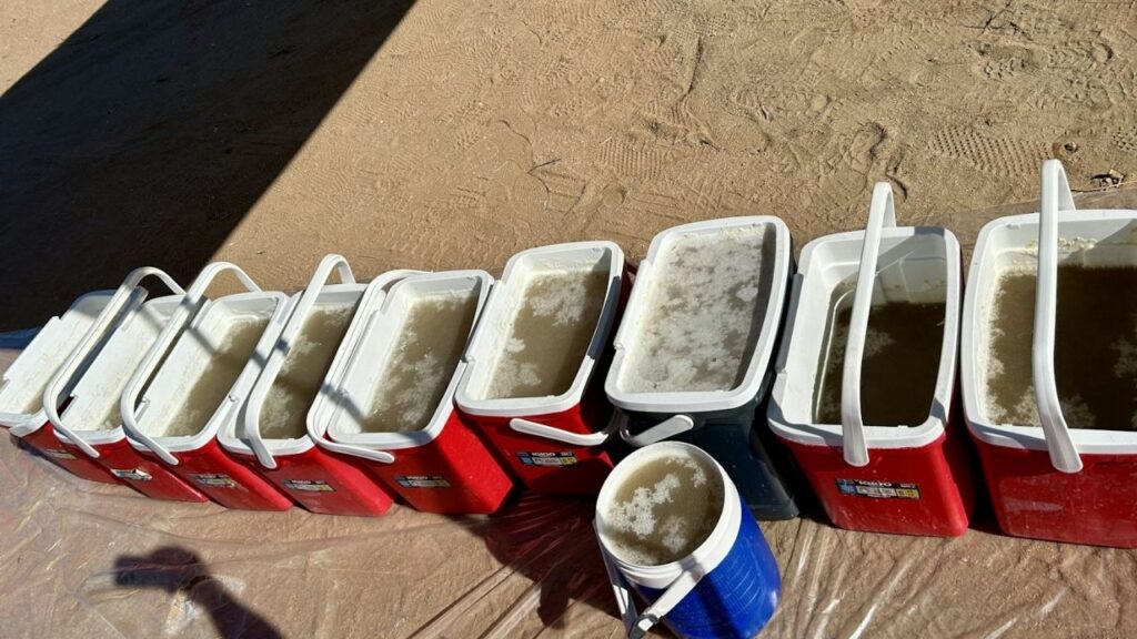 An image of a solution the Kern County Sheriff's Office found during the bust on Wednesday, Sept. 3, 2025. (Kern County SO)