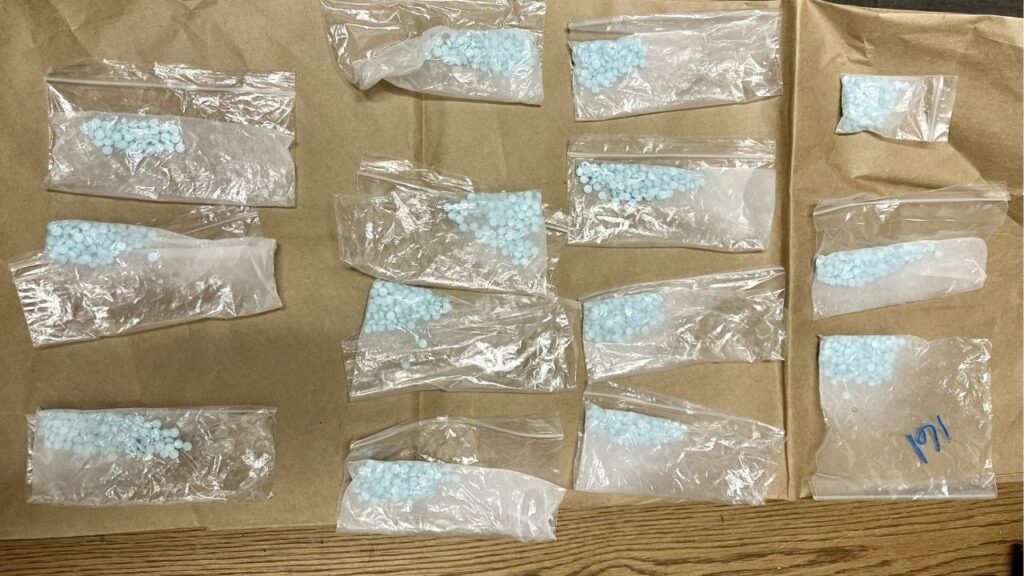 Bridget Ray was arrested Monday, Sept. 15, 2025, after Kern County deputies found oxycodone, meth and psilocybin during a traffic and probation search near Rosamond. (Kern County SO)