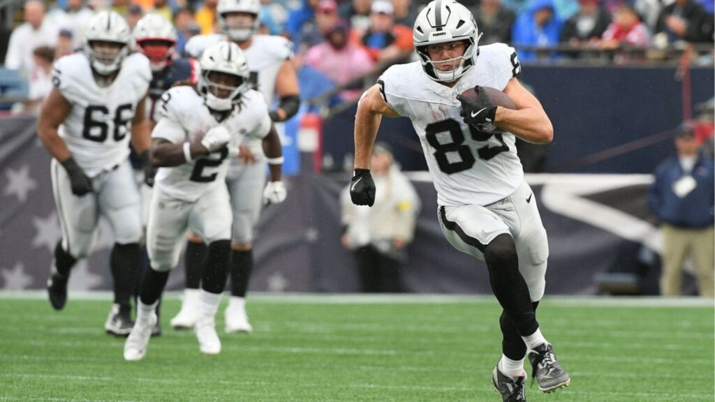 Las Vegas Raiders tight end Brock Bowers makes a catch against the New England Patriots during the second half at Gillette Stadium. (USA Today Network via Reuters)