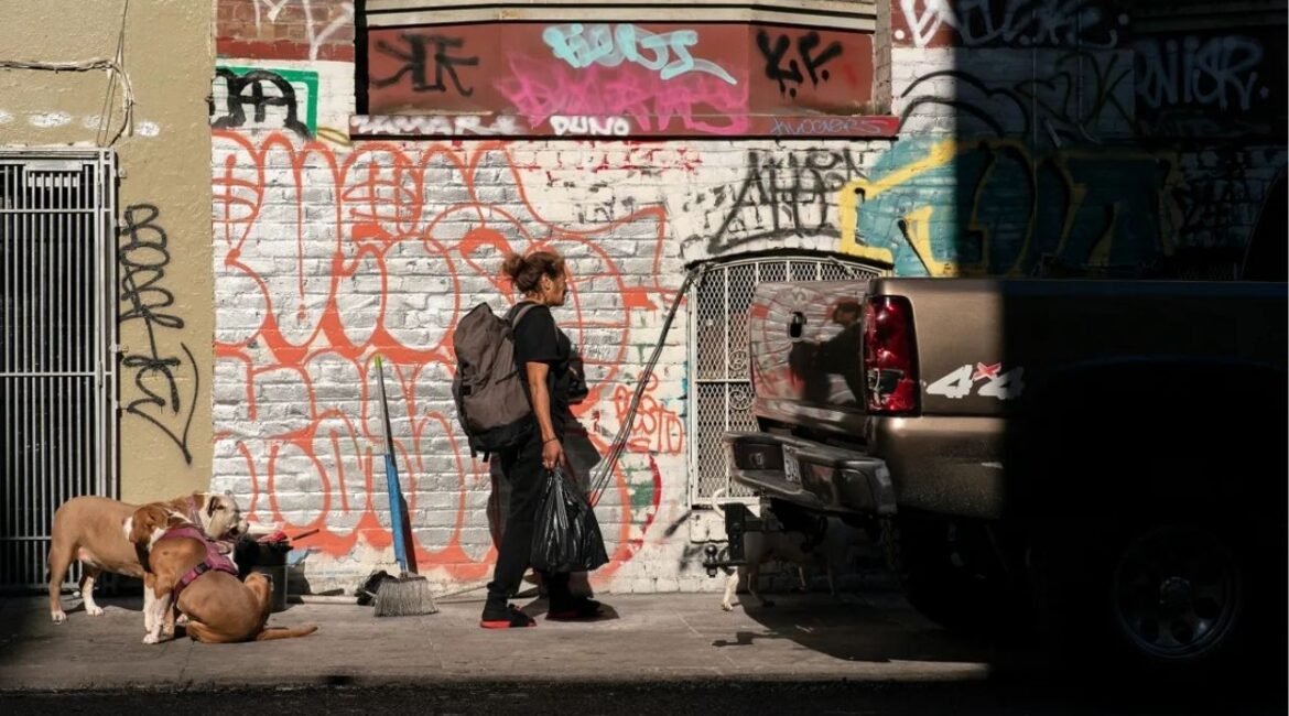 Linda Vazquez, 52, carries a backpack and bag of her belongings as her dogs play in San Francisco on Nov. 15, 2024. City workers forced Vasquez and other unhoused people to move their tents and other items during a homeless sweep. Photo by Jungho Kim for CalMatters