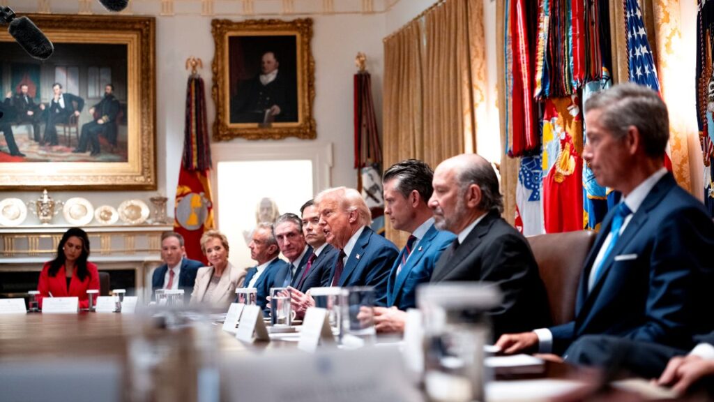 Trump in the Cabinet Room With Advisers