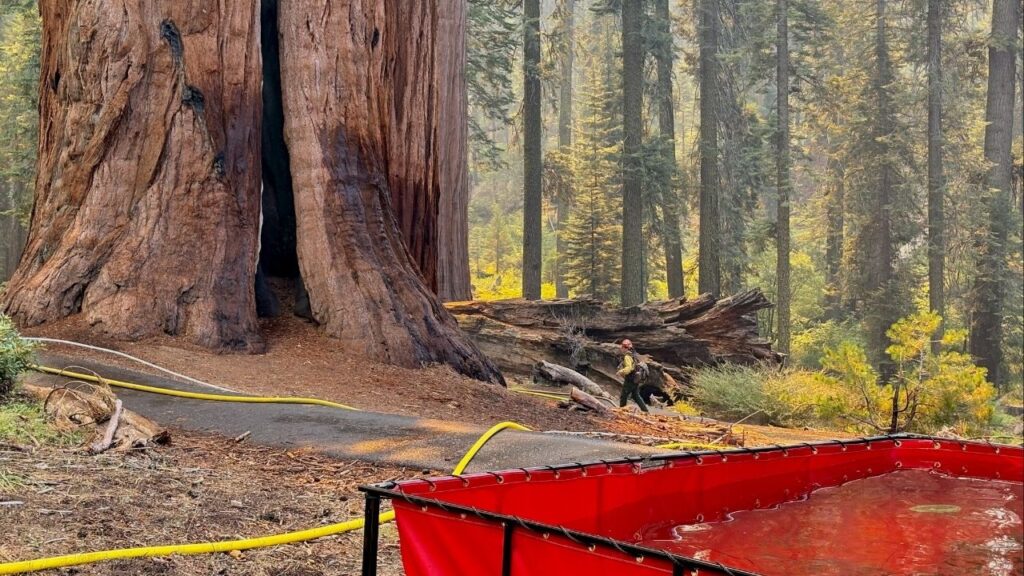 The lightning-sparked Garnet Fire in Fresno County has burned nearly 30,000 acres as of Wednesday, Sept. 3, 2025, afternoon, remains 12% contained, and prompted new evacuation warnings for Zones K41, K61A, and K66 north of Pine Flat Lake. (U.S. Forest Service)