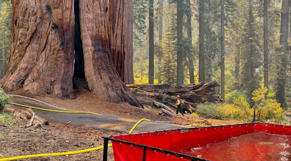 The lightning-sparked Garnet Fire in Fresno County has burned nearly 30,000 acres as of Wednesday, Sept. 3, 2025, afternoon, remains 12% contained, and prompted new evacuation warnings for Zones K41, K61A, and K66 north of Pine Flat Lake. (U.S. Forest Service)