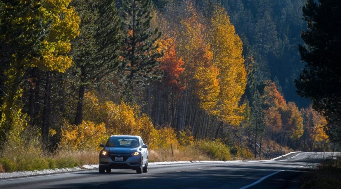 Trembling aspen trees turn to their fall colors near Meyers along Highway 89 the Toyiabe National Forest in Alpine County on Oct. 21, 2019. The Sierras are only about a 2-hour drive from Stockton. (USA Today Network via Reuters)