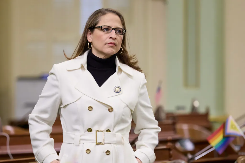 Assemblymember Anamarie Ávila Farías 