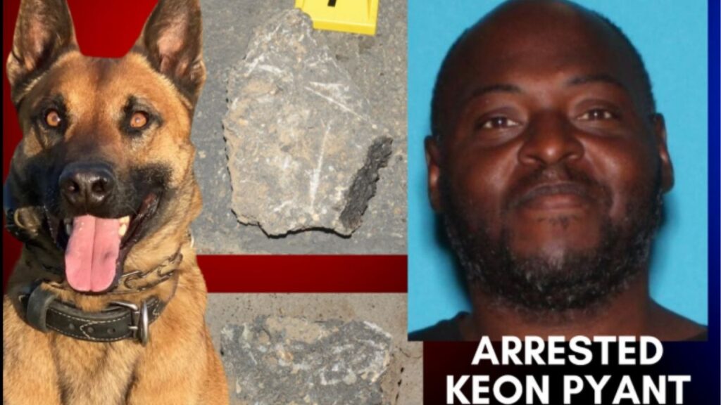 Fresno police arrested Keon Pyant on Tuesday, Oct. 7, 2025, after he allegedly attacked a man with a chunk of asphalt and injured a police K-9 during his arrest. (Fresno PD)