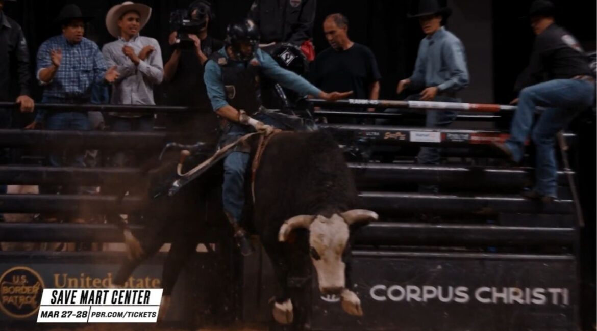 Professional bull riding will return to Fresno in March 2026 as the Pendleton Whisky Velocity Tour marks its 10th year at the Save Mart Center. (Save Mart Center)