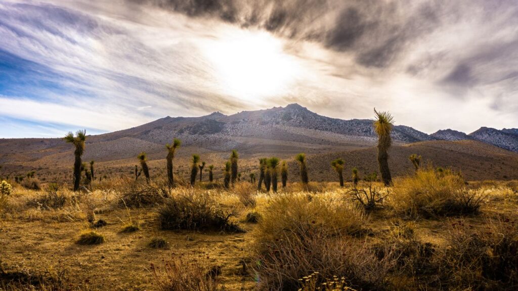 Ridgecrest, California