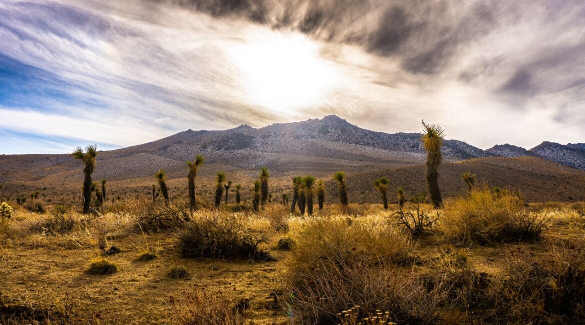 Ridgecrest, California