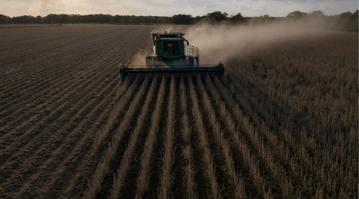 Soybeans are harvested near Stuttgart, Ark., Oct. 25, 2023. Punishing tariffs on China, and painful retaliation. American farmers on the brink of bankruptcy. A multibillion-dollar bailout to keep farmers afloat. In 2025, it is 2018 all over again as the Trump administration prepares to address the same policy crisis it faced seven years ago. (Rory Doyle/The New York Times)