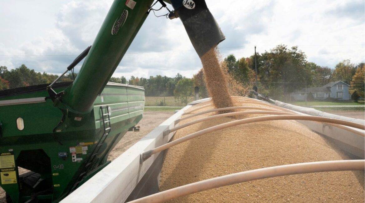Soybeans are loaded into a truck from a transfer hopper during harvest season in Deerfield, Ohio, U.S., October 7, 2021. (Reuters File)
