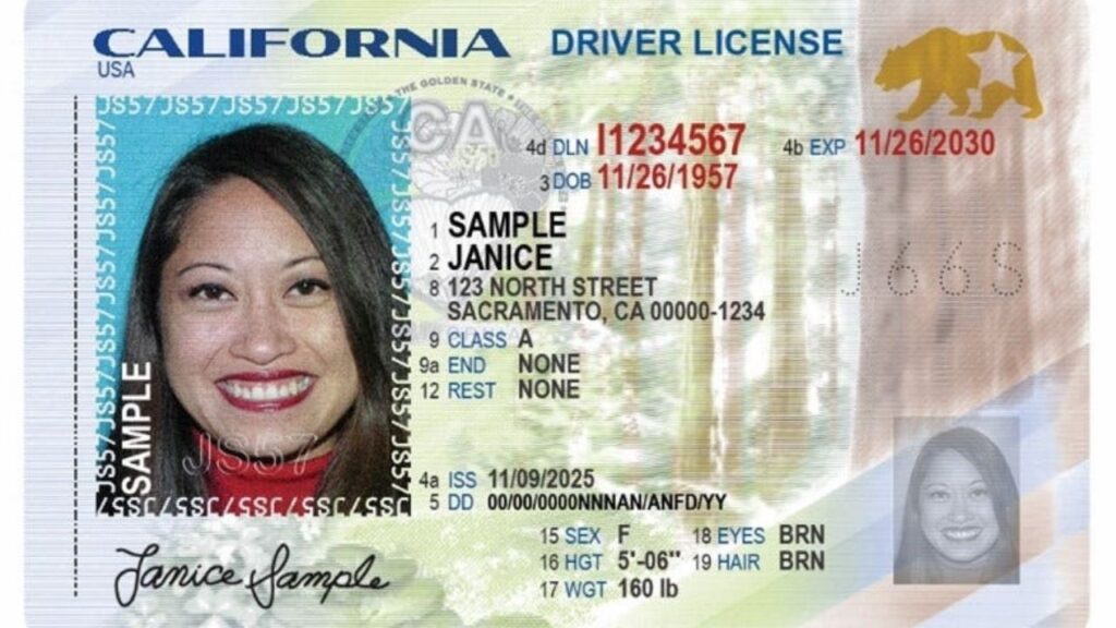 The California DMV unveiled a new driver license design, which includes updates security features, on Wednesday, Oct. 1, 2025. (USA Today Network via Reuters)