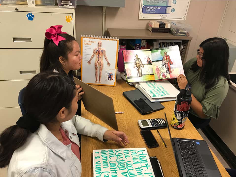Sunnyside Doctors Academy Students Study the Circulatory System