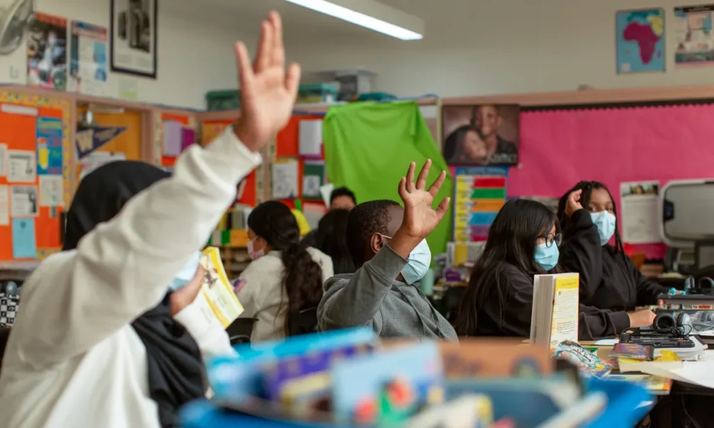 Image of students raising their hands in a brightly color classroom