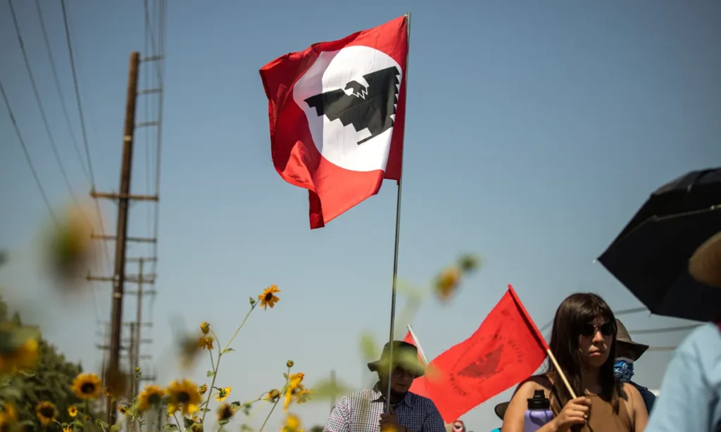 Image of marchers carrying a red-white-and-black UFW flag