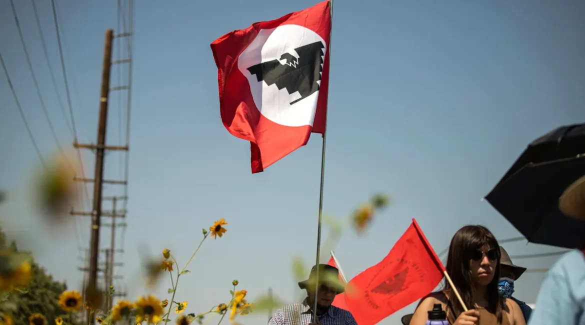 Image of marchers carrying a red-white-and-black UFW flag