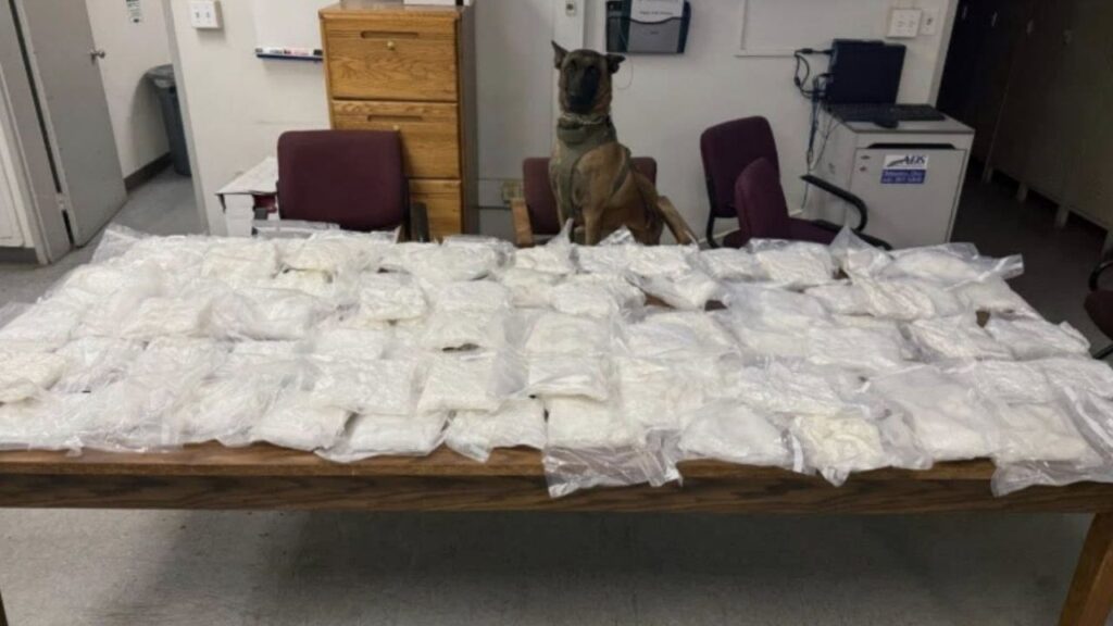 A Tulare County sheriff’s K9 deputy found about 90 pounds of meth during a Thursday, Nov. 20, 2025, traffic stop in Teviston, leading to the arrest of Joel Hernandez-Antunez and the seizure of additional cocaine from his home, officials said. (Tulare County SO)