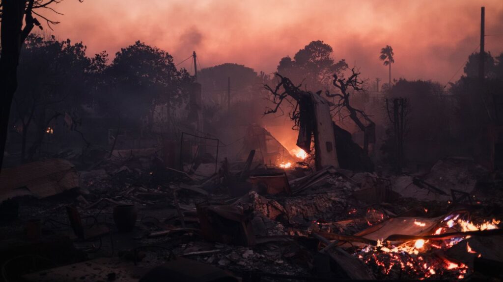 Image of 2025 Pacific Palisades Fire in Los Angeles