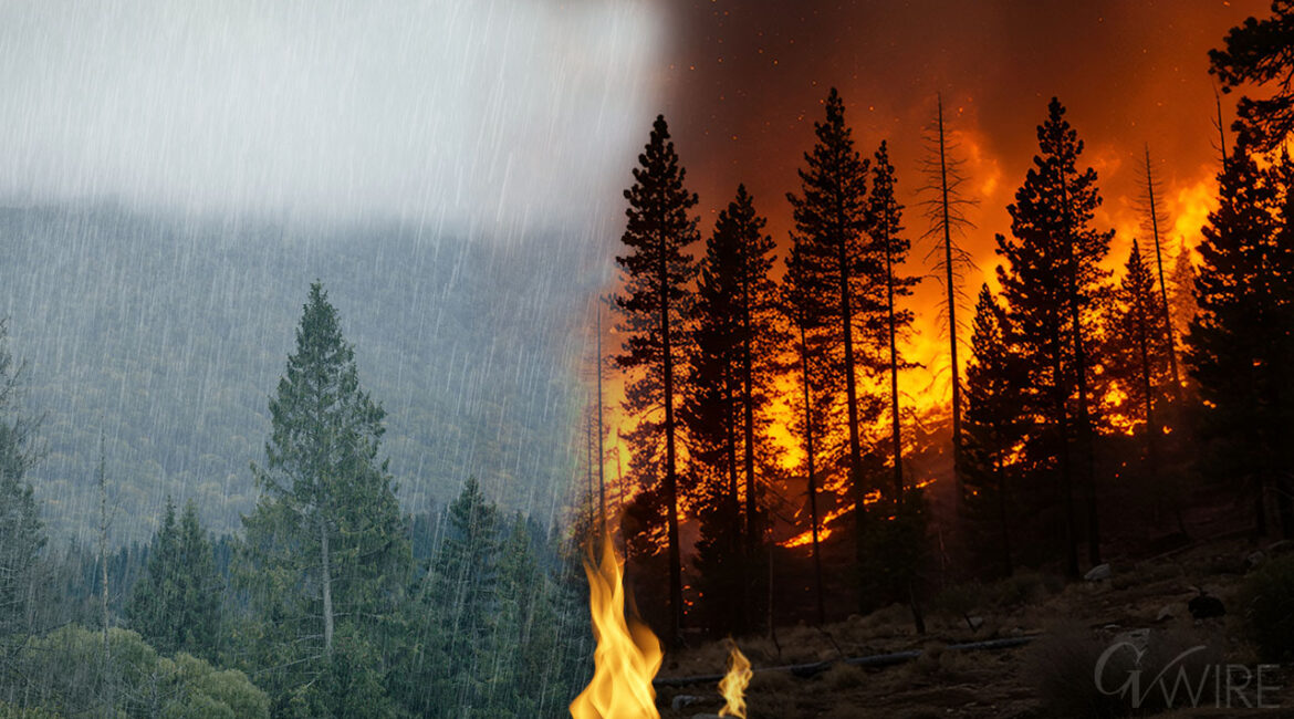 California Forest Rain and Wildfire
