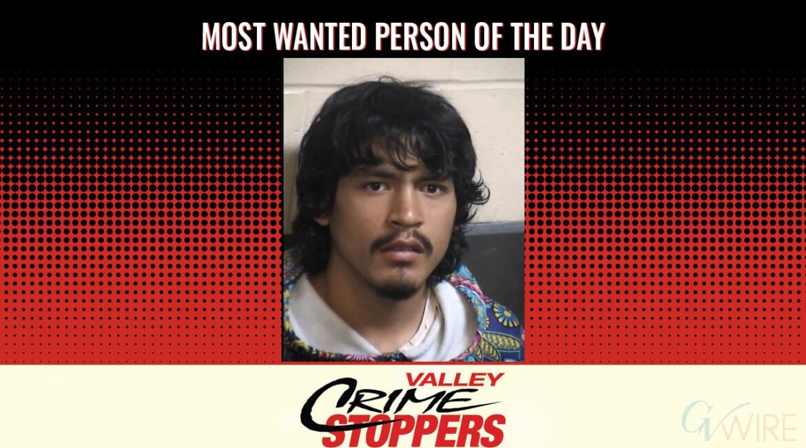 Israel Efrain Delacruz is Valley Crime Stoppers' Most Wanted Person of the Day for Nov. 18, 2025. (Valley Crimes Stoppers)