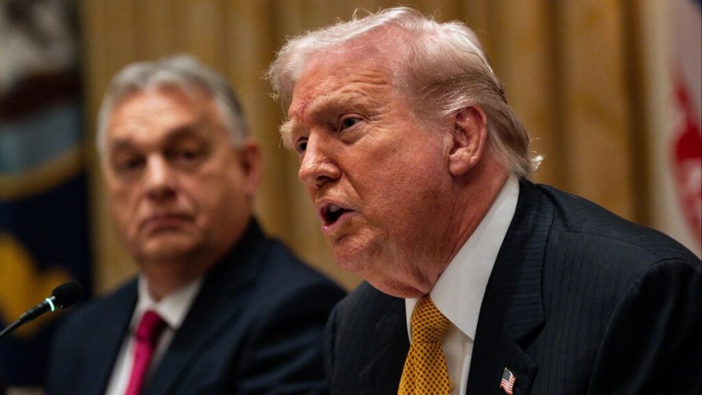 President Donald Trump speaks during a bilateral lunch with Hungarian Prime Minister Viktor Orban in the Cabinet Room of the White House in Washington, Nov. 7, 2025. President Trump has been dining with billionaires and he has taken a keen interest in crises overseas, leading to fears that he is drifting away from his more populist stances. (Tierney L. Cross/The New York Times)