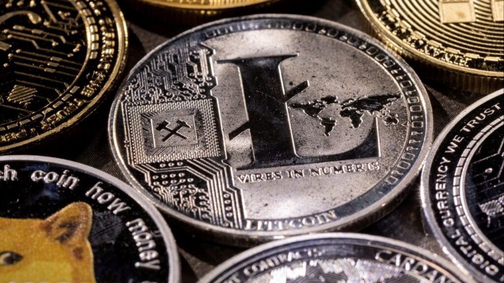 Representation of cryptocurrency litecoin is seen in this illustration taken November 29, 2021. (Reuters/Dado Ruvic/Illustration)