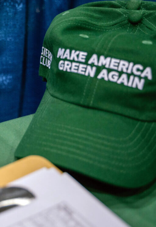 Image of a Make America Green Again Baseball Hat
