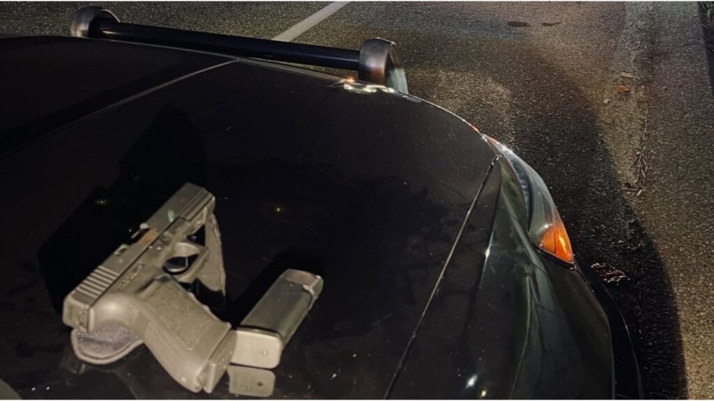 A routine stop for failing to obey a stop sign in Merced uncovered cannabis, a firearm with its serial number removed, and led to the arrest of a driver under 21. (CHP)
