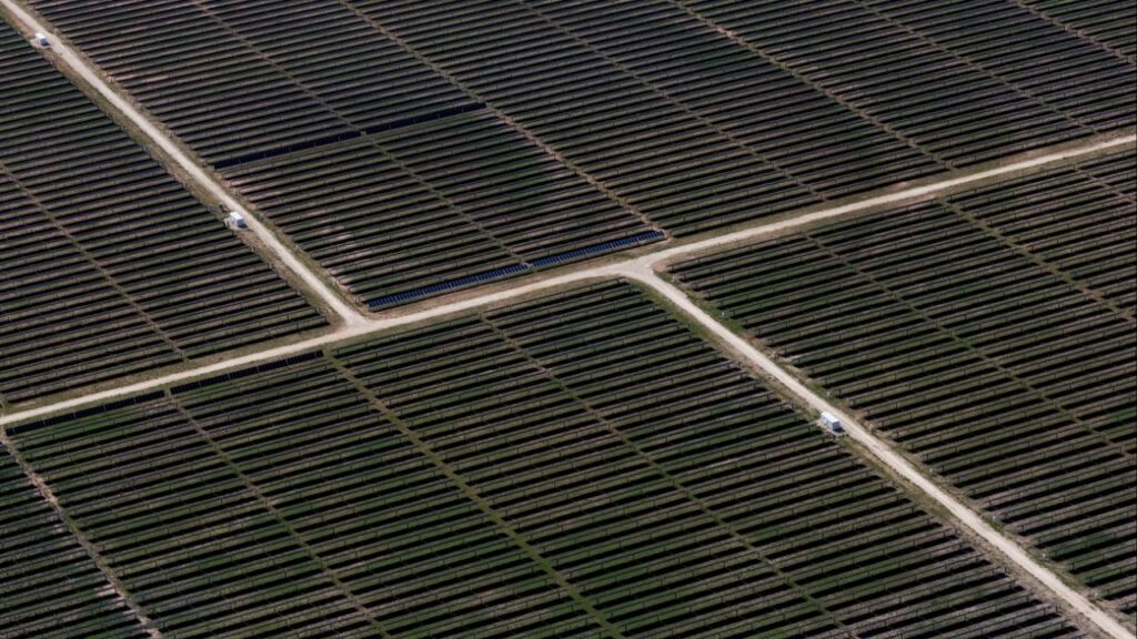 An aerial view shows rows of solar panels at a solar farm in Anson, Texas, U.S., April 23, 2025. (Reuters/Daniel Cole)