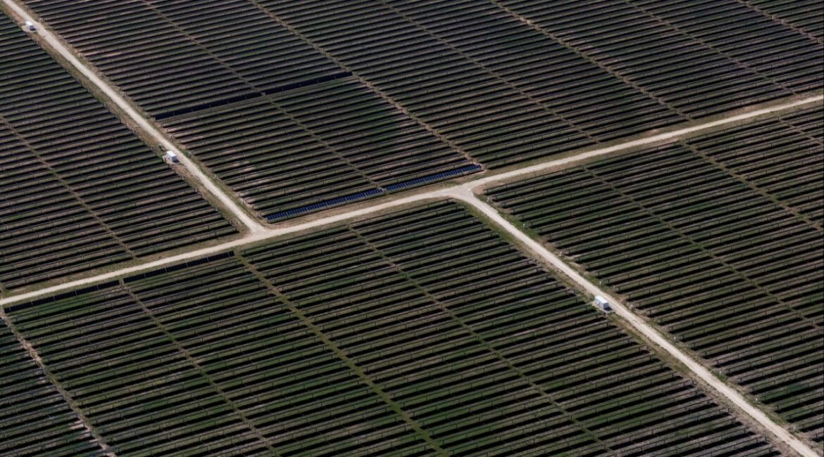 An aerial view shows rows of solar panels at a solar farm in Anson, Texas, U.S., April 23, 2025. (Reuters/Daniel Cole)