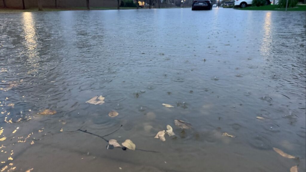 As holiday chaos and heavy rain hit the city, residents are being urged to slow down, stay safe, and prioritize caution over haste. (GV Wire)