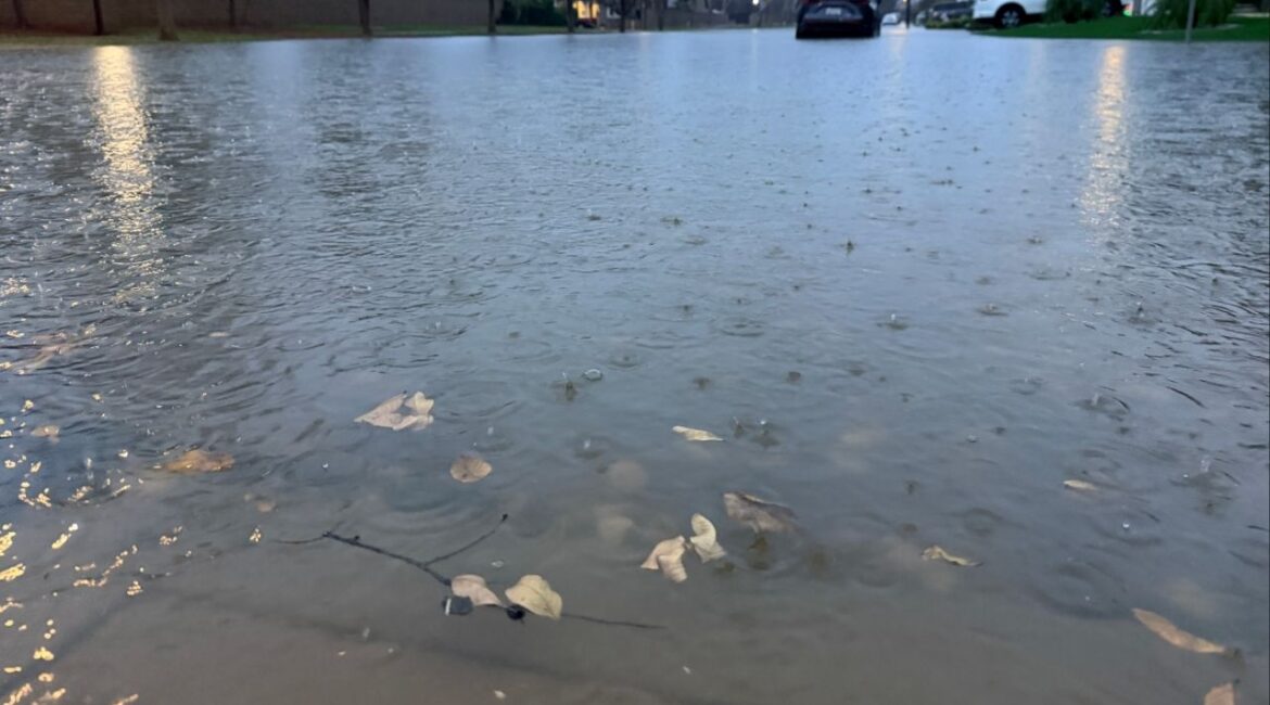 As holiday chaos and heavy rain hit the city, residents are being urged to slow down, stay safe, and prioritize caution over haste. (GV Wire)