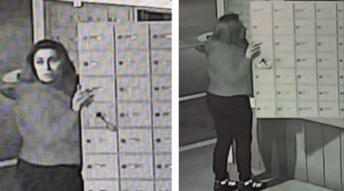 Clovis police are seeking a suspect in a mail theft that occurred just after 3 a.m. on December 5, 2025, near Villa and Bullard avenues. (Clovis PD)