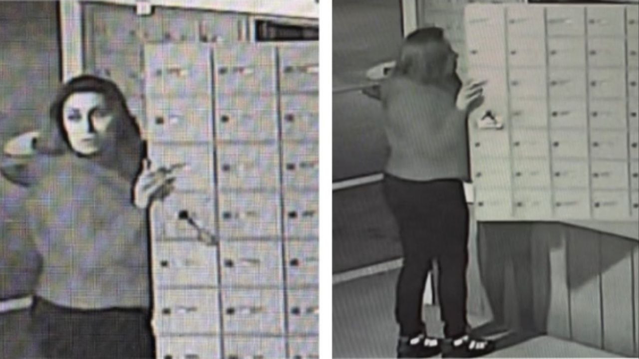 Clovis police are seeking a suspect in a mail theft that occurred just after 3 a.m. on December 5, 2025, near Villa and Bullard avenues. (Clovis PD)