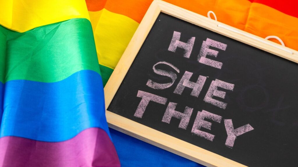 Image of a small chalkboard with He She and They written on it, symbolic of gender identity