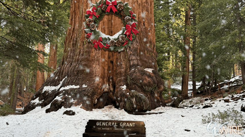 General Grant The Nation's Christmas Tree