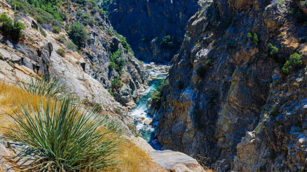 Image of the KIngs River flowing through steep canyon walls in Kings Canyon National Park