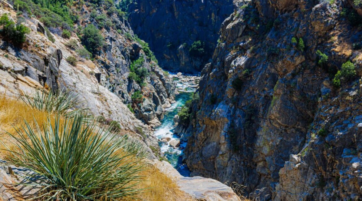 Image of the KIngs River flowing through steep canyon walls in Kings Canyon National Park