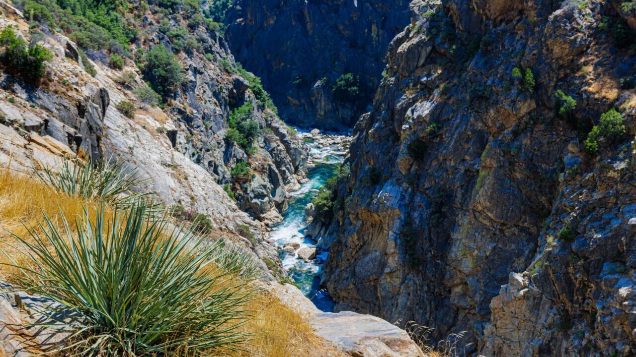 Image of the KIngs River flowing through steep canyon walls in Kings Canyon National Park