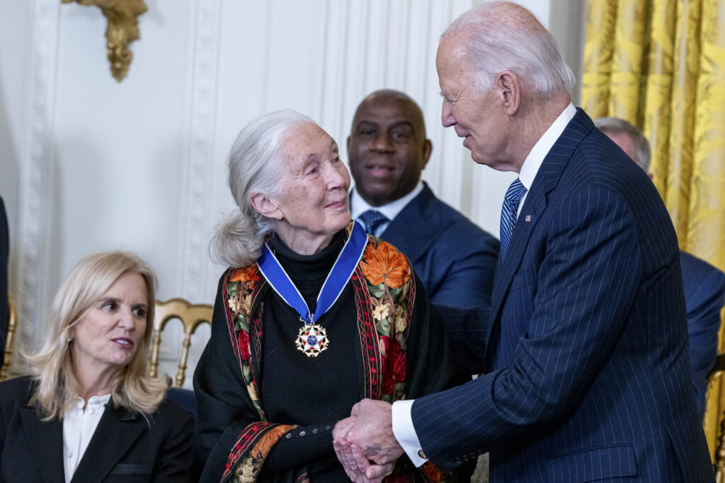Image of Jane Goodall shaking hands with President Biden after receiving the Presidential Medal of Freedom, which is around her neck.