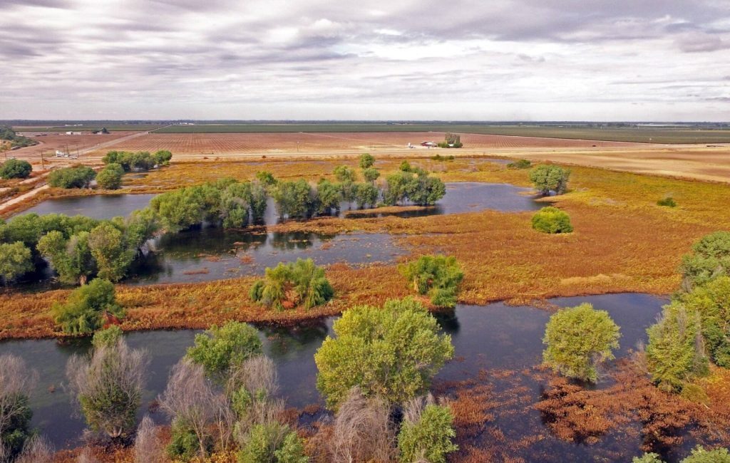 Aerial view of wetlands in Tulare County California