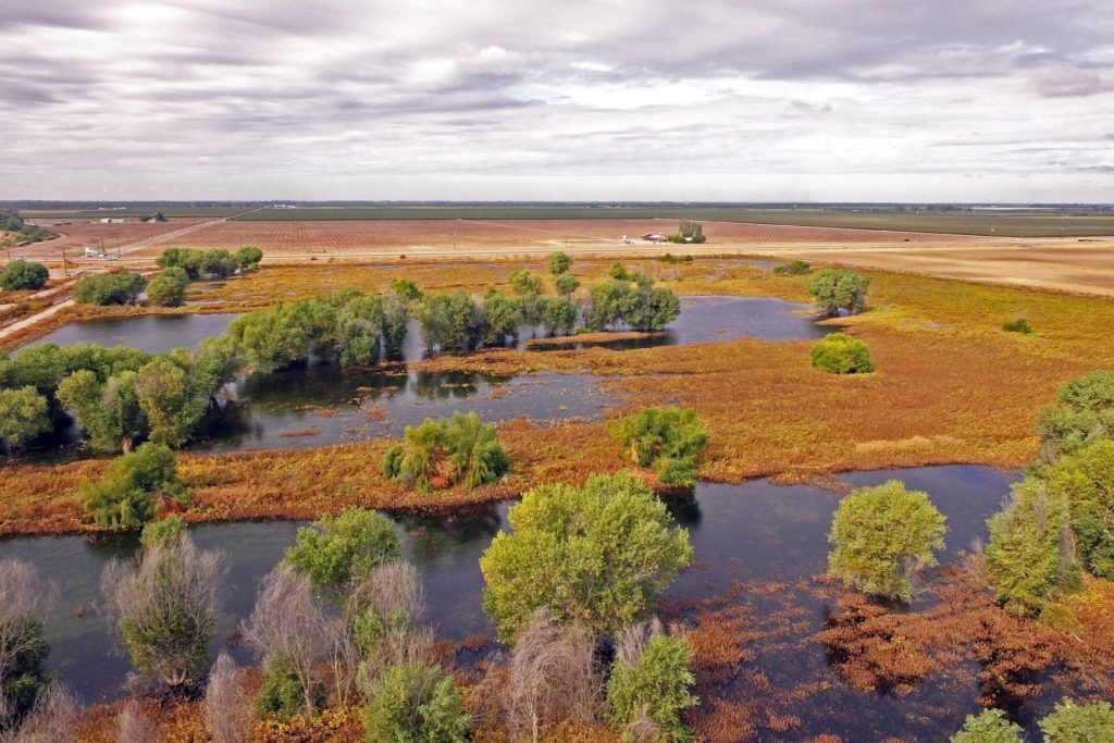 Aerial view of wetlands in Tulare County California