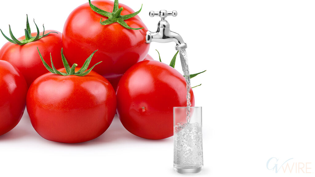 composite image of plump red tomatoes producing cleaning drinking water into a glass
