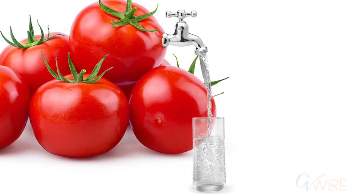 composite image of plump red tomatoes producing cleaning drinking water into a glass