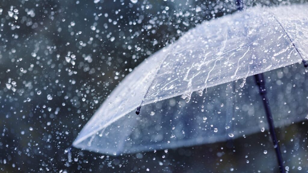Image of a transparent umbrella held aloft in a strong rainstorm