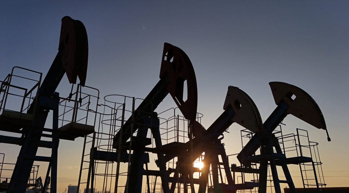 A view shows disused oil pump jacks at the Airankol oil field operated by Caspiy Neft in the Atyrau Region, Kazakhstan April 2, 2025. REUTERS/Pavel Mikheyev