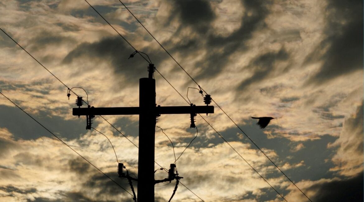 A bird flies past electrical power lines during a storm in Anson, Texas, U.S., April 24, 2025. (Reuters File)